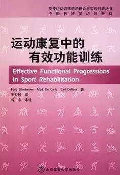 运动康复中的有效功能训练 竞技运动训练丛书