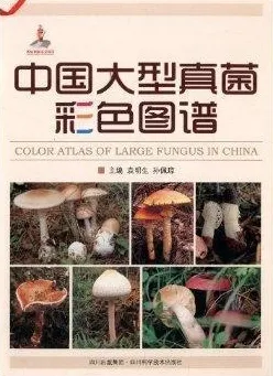 中国大型真菌彩色图谱