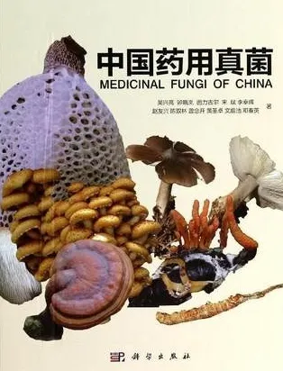 中国药用真菌