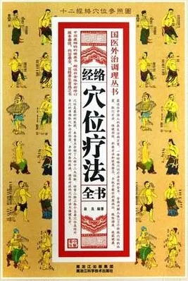 国医外治调理全书 经络穴位疗法全书
