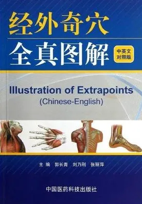 经外奇穴全真图解 中英文对照版