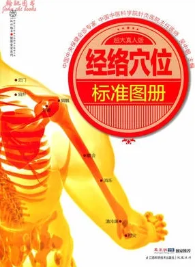 经络穴位标准图册 超大真人版