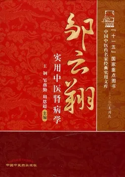 邹云翔实用中医肾病学