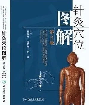 针灸穴位图解 第2版