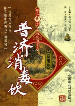 难病奇方系列丛书 普济消毒饮
