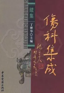 伤科集成 续集