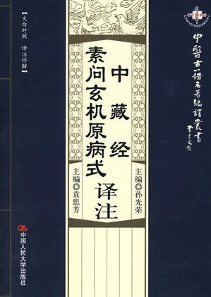 中藏经译注 素问玄机原病式译注