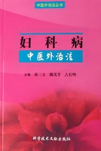 妇科病中医外治法中医外治法丛书