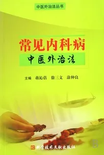 常见内科病中医外治法 中医外治法丛书