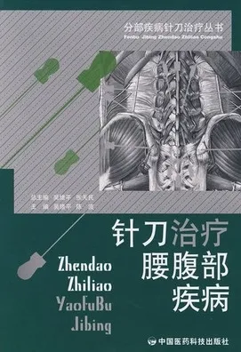 分部疾病针刀治疗丛书 针刀治疗腰腹部疾病