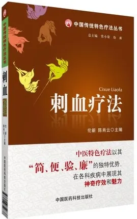刺血疗法 中国传统特色疗法丛书
