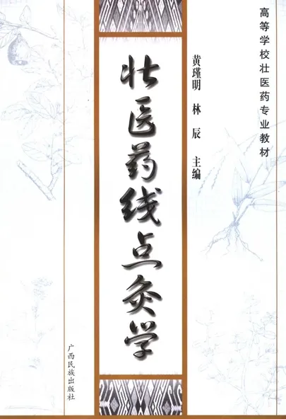 壮医药线点灸学