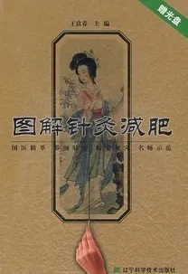 图解针灸减肥