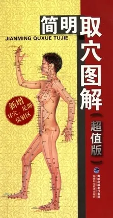 简明取穴图解